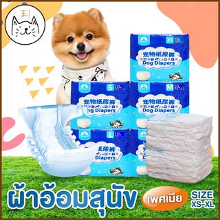 ราคาKUMA ま โอบิ ผ้าอ้อมสุนัข เพศเมีย ผ้าอ้อมหมา แพมเพิส ผ้าอ้อมสัตว์เลี้ยง ผ้าอ้อม สำหรับสุนัขเพศเมีย โอบิสุนัข 10ชิ้น/แพ็ค