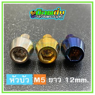 น็อตสแตนเลส หัวบัว ขนาดเกลียว m5 ยาว 12 mm.