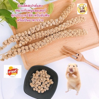 🚚พร้อมส่ง🚚มิลเล็ตสเปรย์แดงสำหรับหนูแฮมเตอร์ เม่นแคระ ราคาช่อละ12บาท