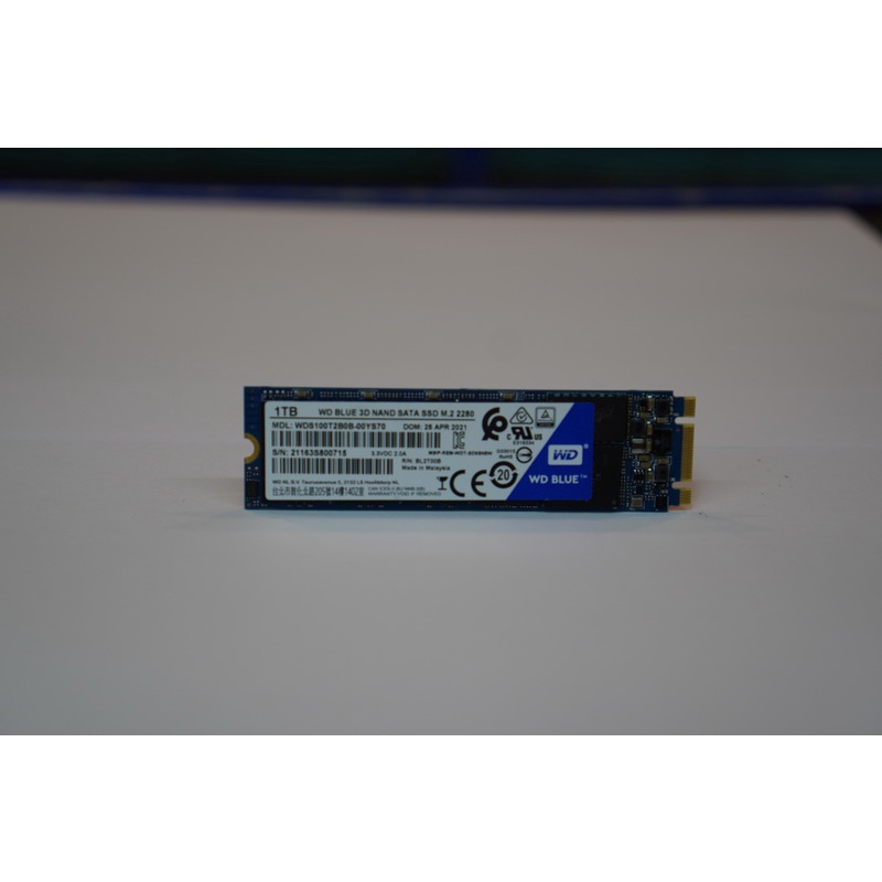 1 TB SSD (เอสเอสดี) WD BLUE SATA M.2 2280 (WDS100T2B0B) 3D