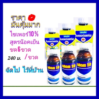 ไซเพอร์เมทริน 10% ยาฆ่าแมลง ยาฆ่าหนอน ยาฆ่าเพลี้ย ยากำจัดหนอน  1 ลิตร (ยาน๊อคสูตรเย็น) ชุดแพ็ค 6 ขวด  แมลงสาบ มด ปลวก