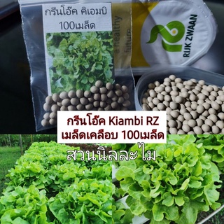 เมล็ดพันธุ์ผักสลัดกรีนโอ๊ค KiambiRZ 100 เมล็ด(มีเก็บเงินปลายทาง)