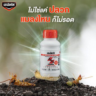 น้ำยากำจัดปลวก แบบขวดกระปุก ขาว CHAINDRITE 30SC 500 ซีซี