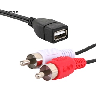 Kabel ซ็อกเก็ตขยาย Usb A Female เป็น 2 Rca Male Plug Audio Video Panjang 1.5 เมตร