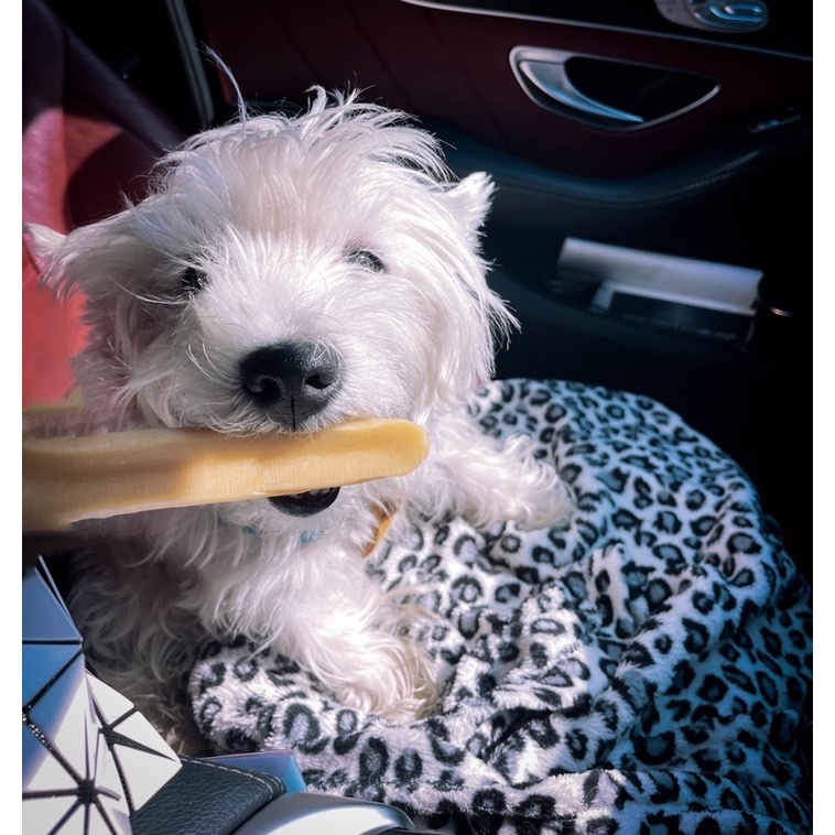 ชีสนมจามรี ชีสขัดฟัน 50-100g ขนมชีสสุนัข SWEET WOOF ชีสแท่งขัดฟัน ขนมสุนัข ชีสแท่งนมจามรี - รูปที่ 4