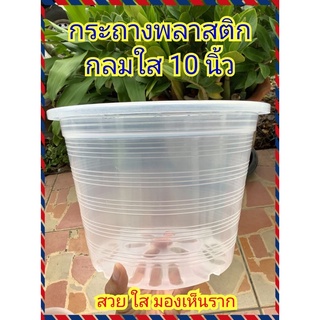 กระถางพลาสติกกลมใส 10 นิ้ว แข็งแรง สวย ใส มองเห็นทะลุถึงราก