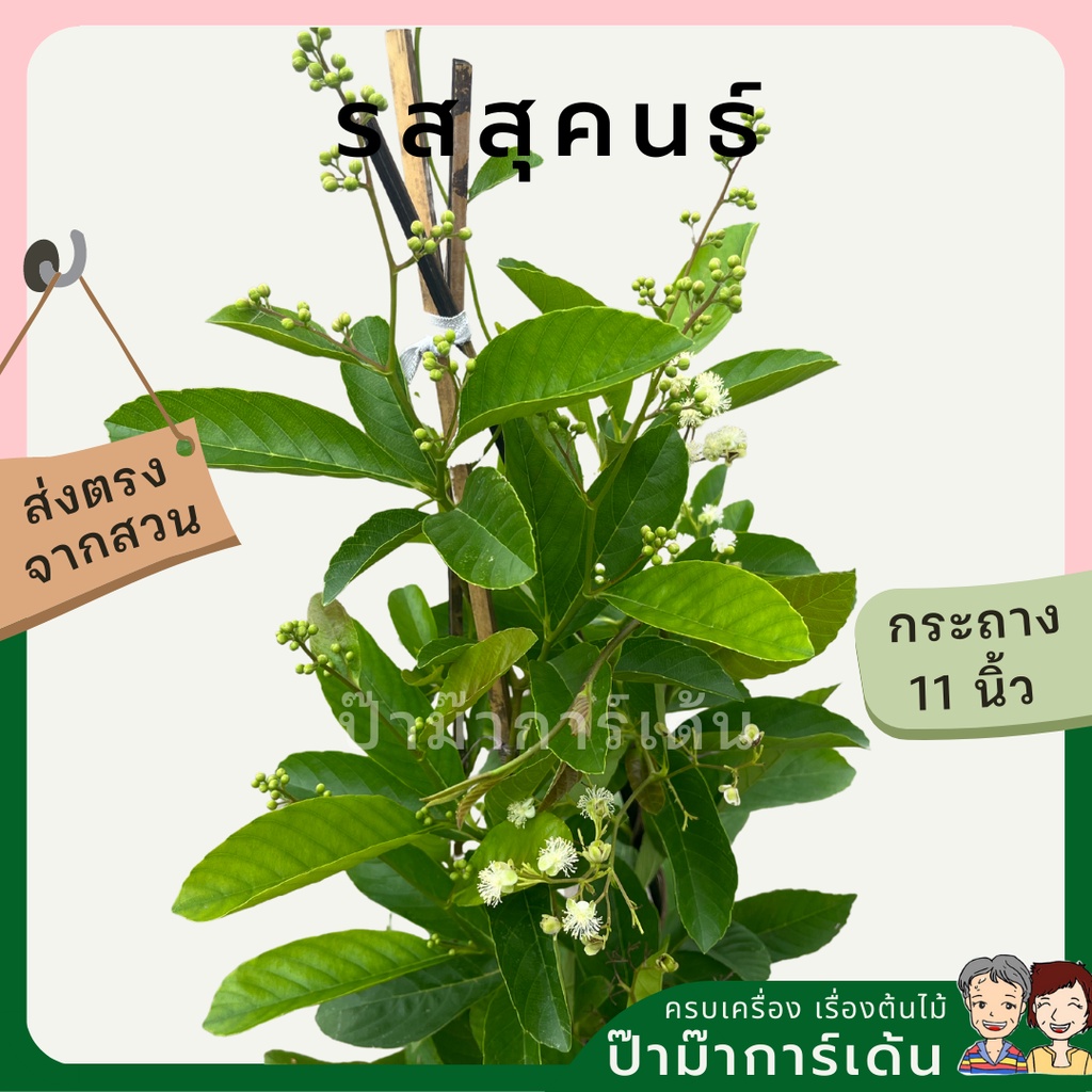 มุมมอง 4