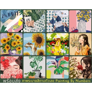 ชุดภาพระบายสีตามตัวเลข ขนาด 40x50 cm. ขึงเฟรมไม้แล้ว Painting By Numbers 24.7 DIY