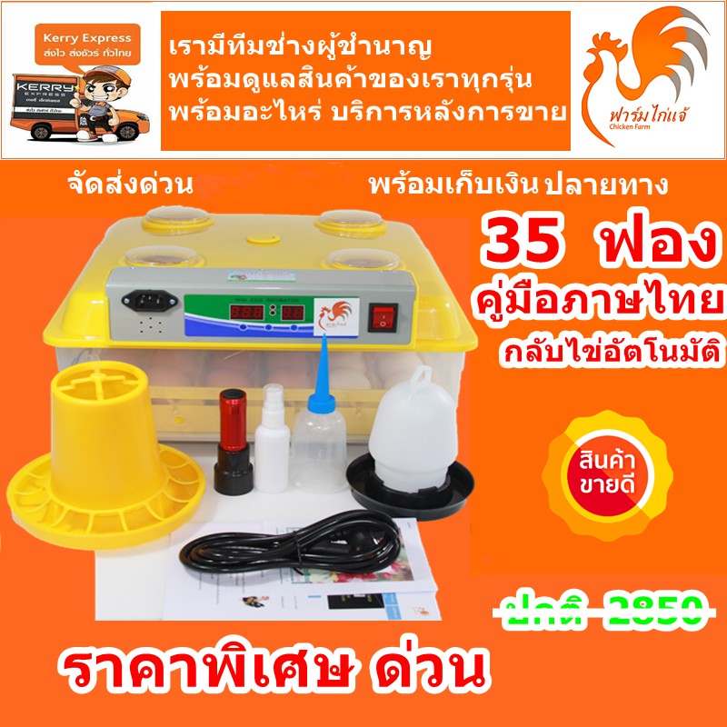 My Image 24