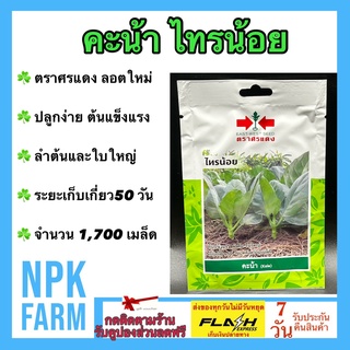 ผักซอง ศรแดง คะน้า ไทรน้อย จำนวน 1,700 เมล็ด/ซอง เมล็ดพันธุ์ ลอตใหม่ งอกดี ปลูกง่าย ต้นแข็งแรง โตไว ลำต้นและใบใหญ่