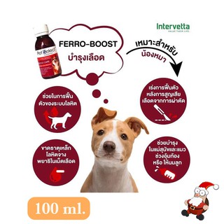 อาหารเสริม บำรุงเลือด สุนัข แมว Ferro Boost 100ml.