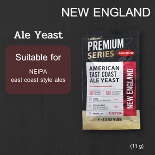 Yeast Lallemand Danstar - New England