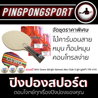 Pingpongsport ชุดไม้ปิงปองประกอบ Archer-B +ยางปิงปอง Airos Illumina และ Airos Illumina