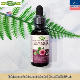 เนเจอร์ เวย์ เสริมภูมิต้านทาน ต้านเชื้อชนิดต่างๆ Echinacea Goldenseal Alcohol Free 99.9% 30 mL - Natures Way