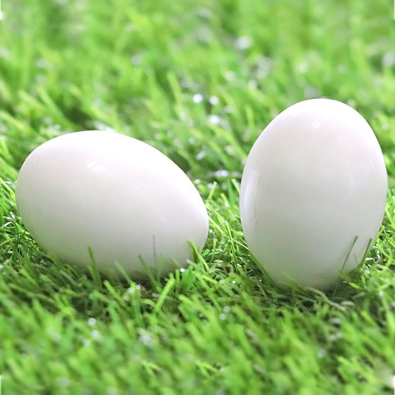 ขายร้อน5/10PCS ไข่นกพิราบปลอม Assist Pigeons To Inducate Eggs Dove Aviculture Nest Hatching Eggs