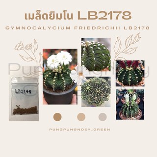 เมล็ดกระบองเพชร เมล็ดแคคตัส เมล็ด LB2178 10 เมล็ด