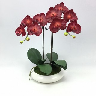 OrientalFineArt ดอกกล้วยไม้ประดิษฐ์ phalaenopsis orchid plant pot arrangement(ARMC-57049-W F25)