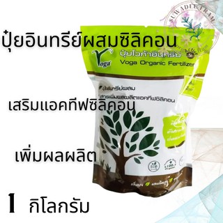 ปุ๋ยอินทรีย์โวก้า เสริมแอคทีฟซิลิคอน 1kg ปุ๋ยน้ำทางใบ ปุ๋ยแคตัส