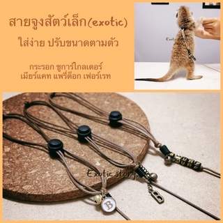 สายจูงสัตว์เล็ก (exotic pet) สายจูงกระรอก ชูการ์ไกลเดอร์ เมียร์แคท แพรี่ด็อก เฟอเรท