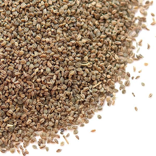 KINCHAY SEEDS - 150pcs seedsCATMONEASY TO GROWHIGH YIELDING裙子seeds ...