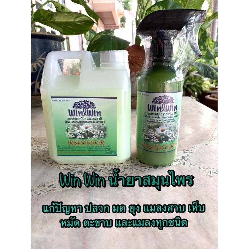 สเปรย์สมุนไพรไล่แมลง ไล่มด แมลงสาบ สูตรแก้ปัญหาแมลงทุกชนิด Win Win Set ราคาพิเศษ🔥🔥 ขนาด 500 cc + 100
