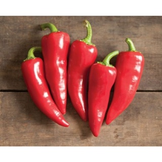 เมล็ดพันธุ์พริกเม็กซิกันเฟรสโน สีแดง Mexican Red Fresno Pepper Seed เมล็ดพันธุ์แท้คุณภาพดี นำเข้าจากต่างประเทศ