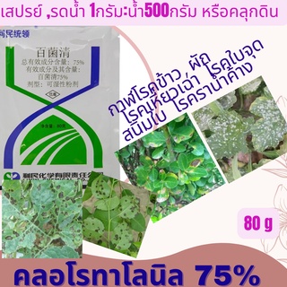 คลอโรทาโลนิล 75% ประเภท: ผง ทำลายเชื้อราในพืช ตระกูลข้าว แตง มะเขือเทศ ต้นชา ถั่วลิสง ต้นแพร์  ผักใบ ต้นส้มเขียวหวาน เมล