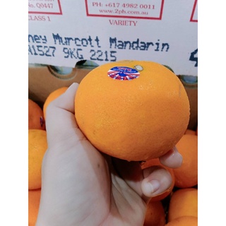 ส้ม ส้มแมนดารินออสเตรเลีย Mandarin Orange AUSTRALIA (ราคา / 1 ลูก)