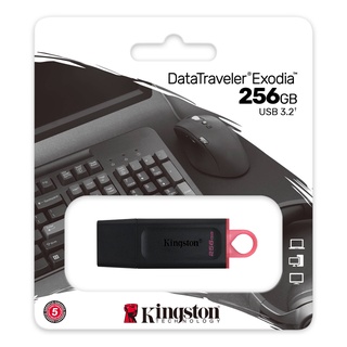 KINGSTON 256GB DTX/256GB DataTraveler Exodia