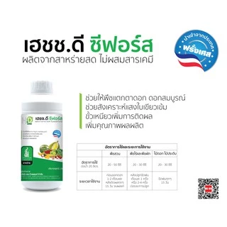 เฮชช.ดี ซีฟอร์ส สาหร่ายสกัดเข้มข้น ขนาด 1 ลิตร