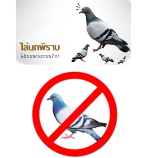 ไล่นก ไล่หนู จิ๊กจก มด แมลงสาบ แมลงวัน-หวี่ (450ml ) (MG-500) สเปรย์ ออ อิน วัน organic ปลอดภัยต่อผู้ใช้และสัตว์เลี้ยง