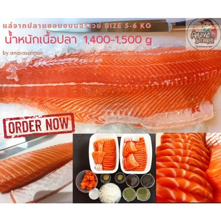 แซลมอน Salmon Norway แล่ซาชิมิ ครึ่งตัว (ปลาแซลมอนไซส์ 5-6kg) ส่งทั่วไทย