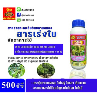 สูตรเร่งใบ  ขนาด 500 ซีซี