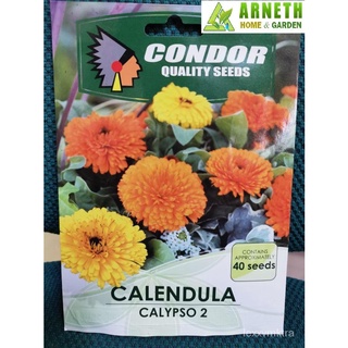 CALENDULA CALYPSO 2 FLOWER PLANT SEEDS FOR PLANTING BY CONDORมะละกอ/ผักกาดหอม/ผู้ชาย/เด็ก/สร้อยข้อมือ/เมล็ด/เมล็ด/ผักชี/