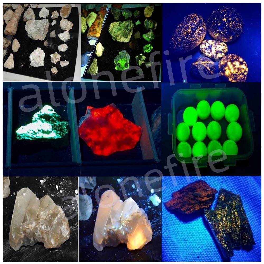 Alonefire كشاف UV ‏365nm ‏15W لكشف بقع البول SV41 — صورة 8