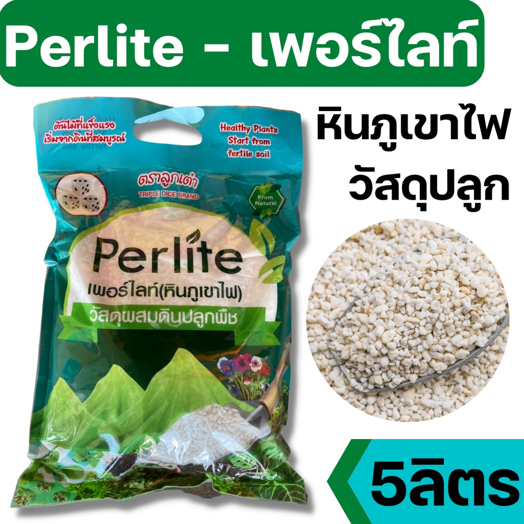[5ลิตร][ลูกเต๋า] เพอร์ไลท์ Perlite หินภูเขาไฟ วัสดุผสมดินปลูกพืช ใช้ปลูกแคคตัส ปลูกผักไฮโดรโปนิกส์