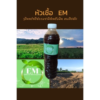 EM.กลุ่มจุรินทรีย์ ที่มีประโยชน์ Effective Microorganisms 1ขวด 600ml.