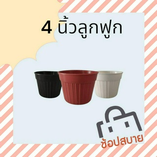 กระถางแคคตัส ทรงลูกฟูก 4 นิ้ว แพ็ค 50 ใบ