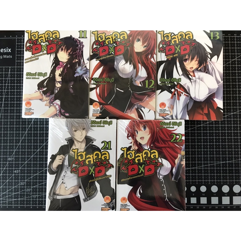 LN High School DXD  11-13 / 21-22 (นิยาย)  (มือ1)