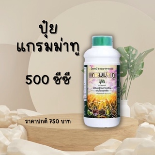 ปุ๋ยน้ำ แกรมม่าทู ตราจอมยุทธ์ ขนาด 500 ซีซี ปุ๋ยแกรมม่าทู เร่งติดดอก แตกยอดดี ช่วยให้พืชสมบูรณ์ แข็งแรง ขั้วเหนียว