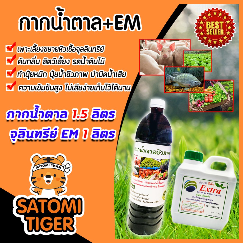 กากน้ำตาล 1.5 ลิตร 2 กิโลกรัม + จุลินทรีย์ EM 1 ลิตร ปรับสภาพน้ำ อาหารจุลินทรีย์ หมักปุ๋ยทุกชนิด บำร