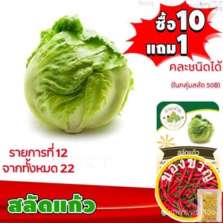 เมล็ดอวบอ้วน100%{{ส่งKerry}}[10แถม1 มีคู่มือ] เมล็ดพันธุ์ สลัดแก้ว Iceberg ประมาณ 500 เมล็ด (0.5กรัม) เมล็ดพันธุ์ ผักสลั