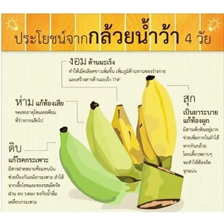 ผงกล้วยดิบ 200g Organic Raw Banana Powder 100% Resistant Starch ไฟเบอร์สูง Prebiotic ลำไส้ดี ขับถ่ายง่าย Clean Food 200ก