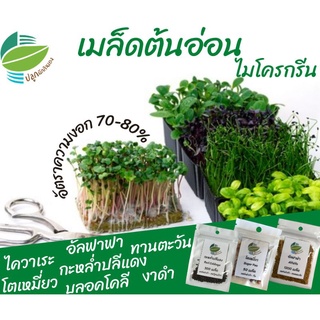 🌈ลด 60.- ใช้โค้ด LF5HZQ / เมล็ดต้นอ่อน เมล็ดผัก ไมโครกรีน #microgreen #อัลฟาฟ่า #บลอคโคลี #โตเหมี่ยว #ไควาเระ #ไมโครกรีน