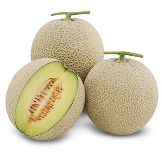 เมล็ดพันธุ์ เมล่อน ฮันนี่ร็อค 20 เมล็ด Honey Rock Melon Seed เมล็ดพันธุ์แท้100% นำเข้าจากต่างประเทศ ปลูกผัก  0062