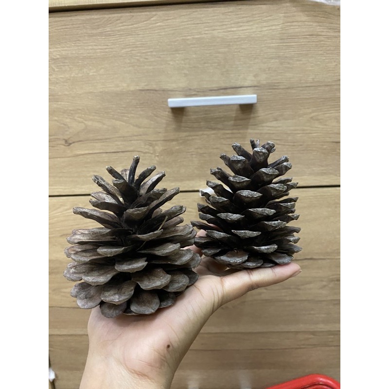 รูปภาพ 2