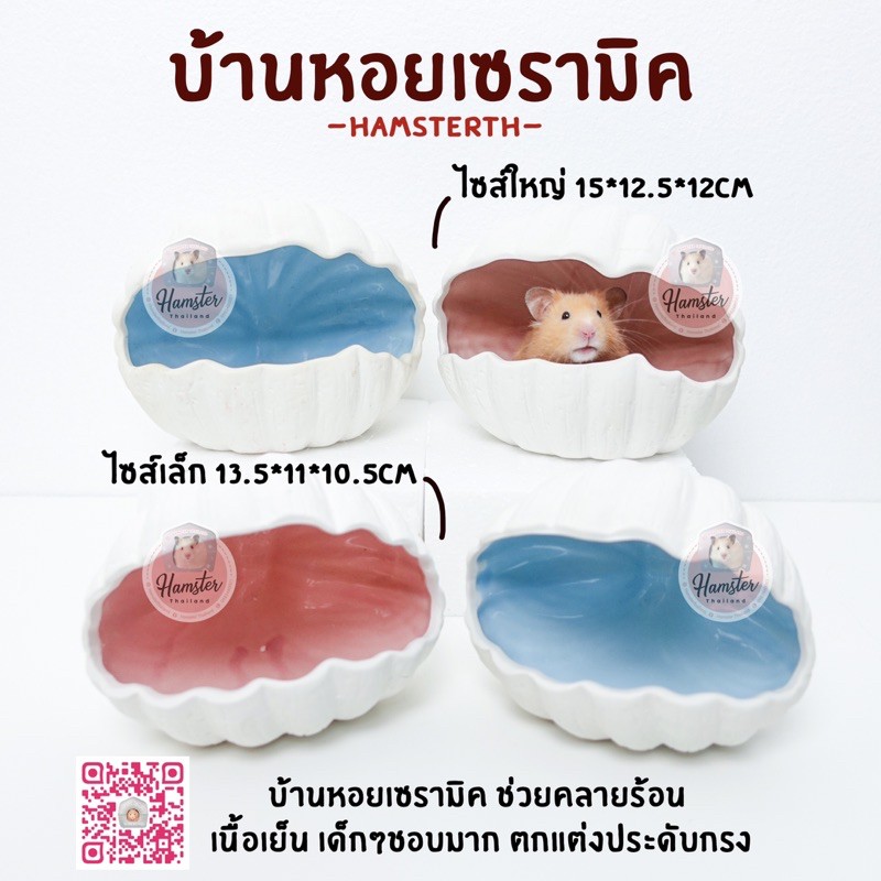 Hamsterthailand บ้านหอย บ้านเซรามิค สีฟ้าชมพูเหลืองม่วง บ้านแฮมสเตอร์ เม่นแคระ ชูก้าร์ แรท