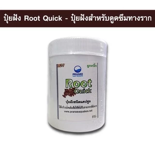 เทปเล็ก Vallisneria ต้นไม้น้ำพร้อมปลูก ต้นไม้ตกเเต่งตุ้ปลา