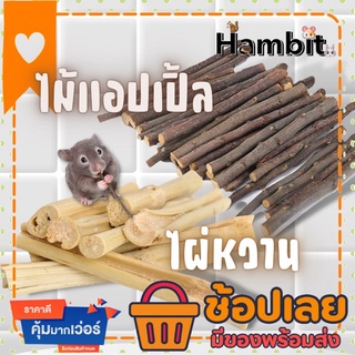 Hambit. ไผ่หวาน Sweet bamboo ไม้แอปเปิ้ล apple stick ลับฟัน ขัดฟันแฮมสเตอร์ ขัดฟันกระต่าย ขัดฟันแพรี่ด๊อก ขัดฟันหนู