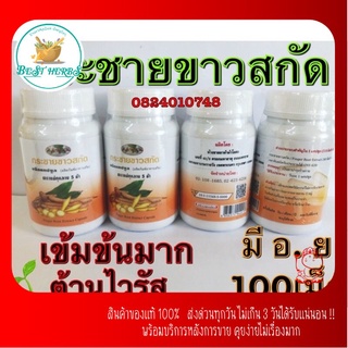 ฺBestHerbs กระชายขาวผง ผงกระชาย ตราแม่-กุหลาบ (ห้าม้า)🌱ชนิดบรรจุ🟢แคปซูล🍀100😊แคปซูล🟢มีอย👍แท้100%